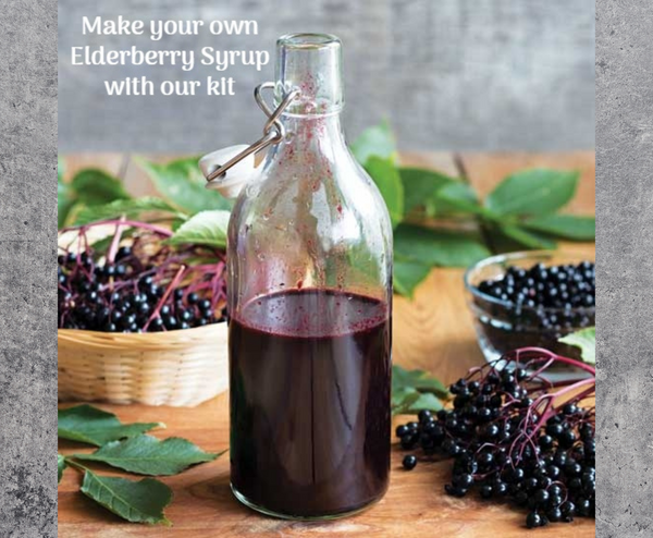 Elderberry Syrup Kit