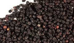 Elderberry